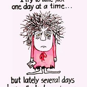 Meet your Posher, Catherine